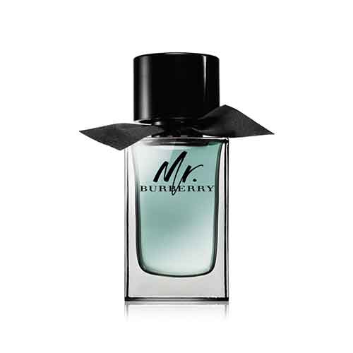 burberry for men 100 ml
